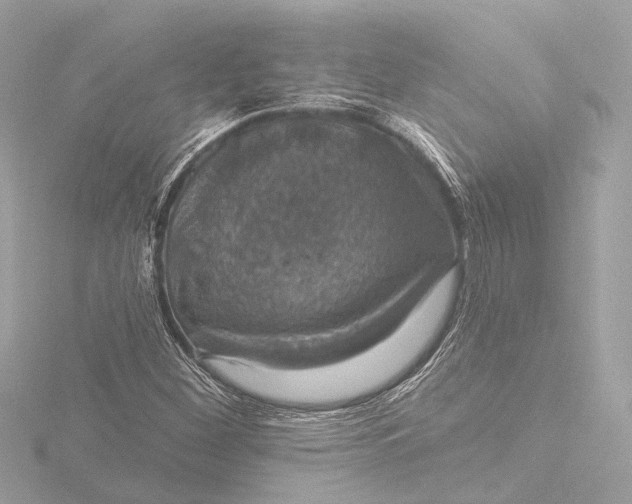 X0000116451260200912221537