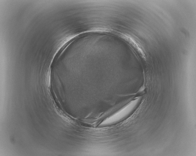 X0000116451276200912221537