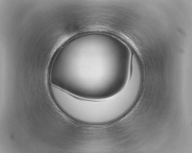 X0000116451277200912221537