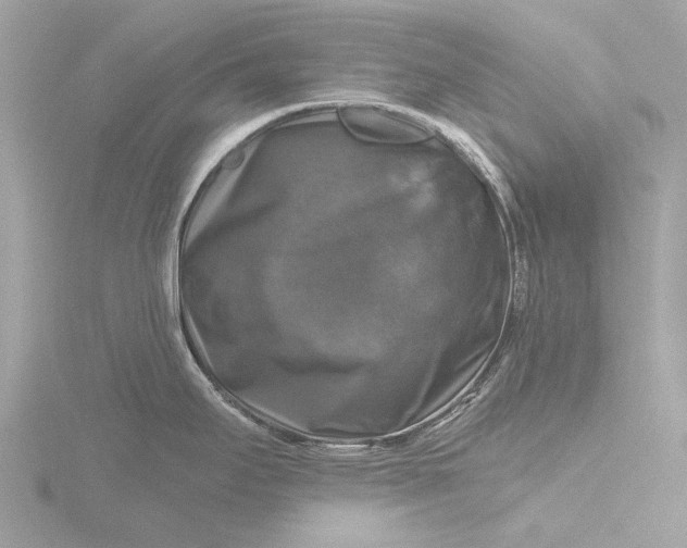 X0000116451295200912221537