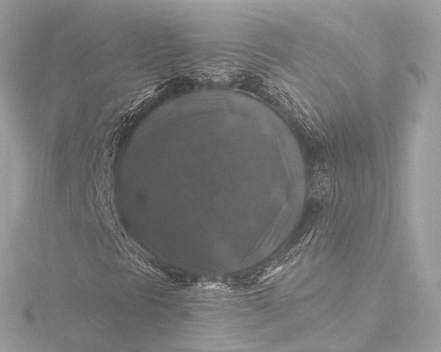 X0000116451297200912221536