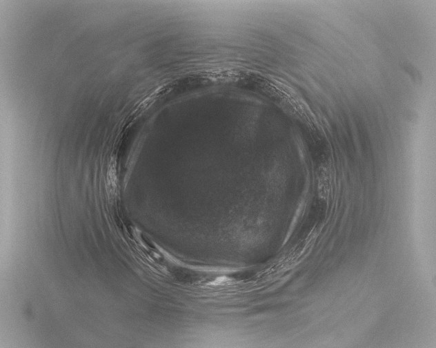X0000116451298200912221536