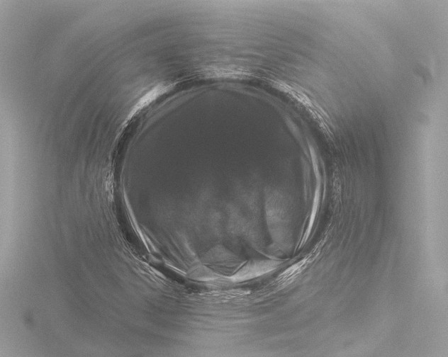X0000116451306200912221536