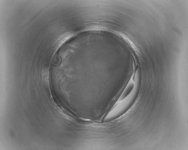 X0000116451329200912221536