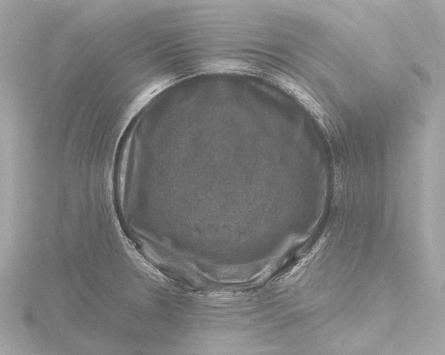 X0000116451330200912221537
