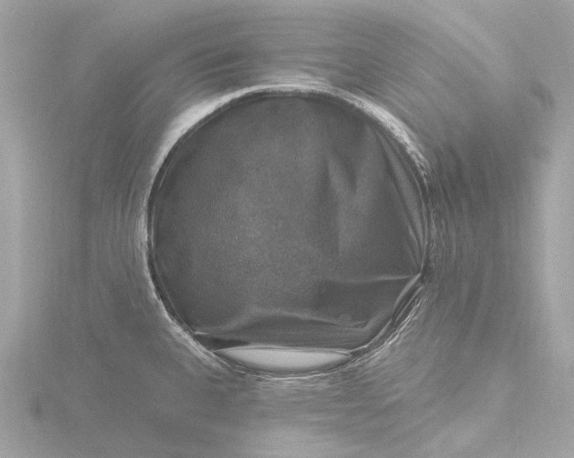 X0000116451335200912221537