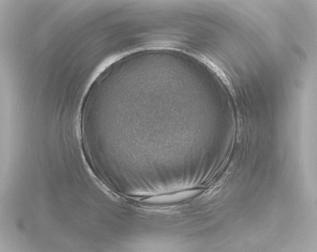 X0000116451342200912221537