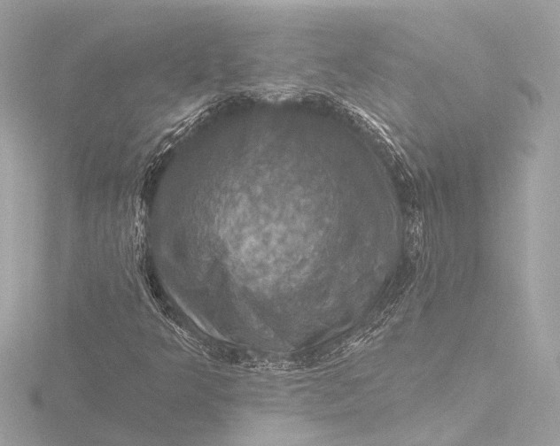 X0000116451349200912221536