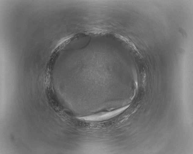 X0000116451350200912221536
