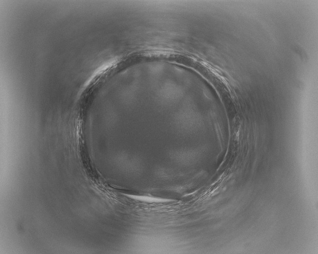 X0000116451351200912221536