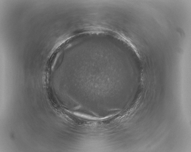 X0000116451352200912221536
