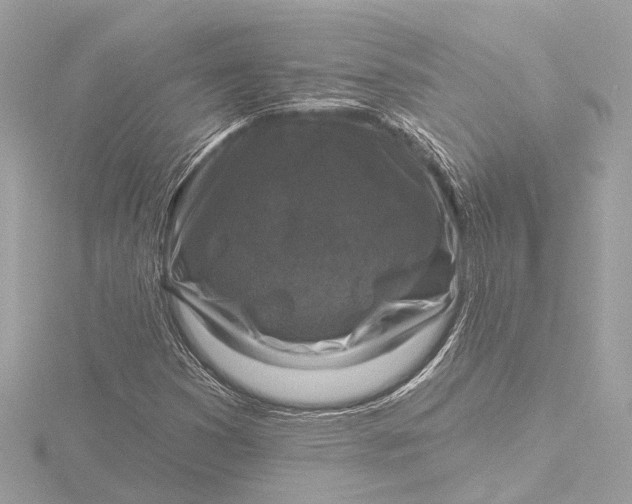 X0000116451353200912221536