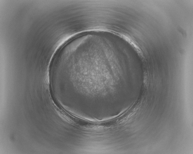 X0000116451372200912221536