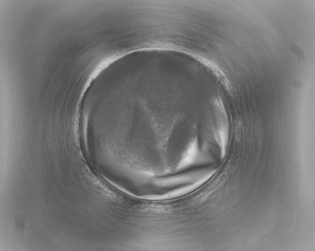 X0000116451374200912221536