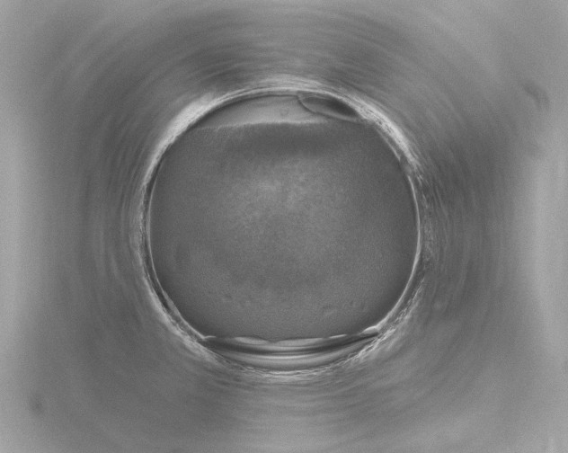 X0000116451381200912221536