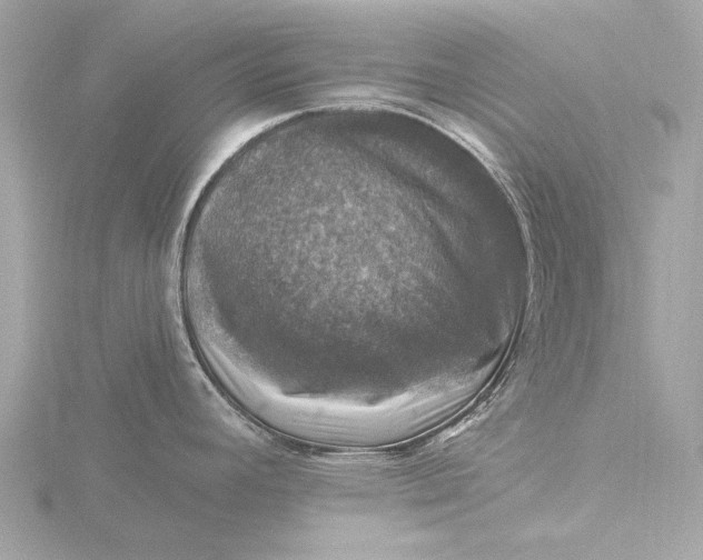 X0000116451392200912221535