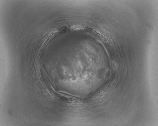 X0000116451393200912221535