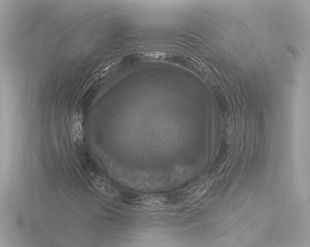 X0000116451394200912221535