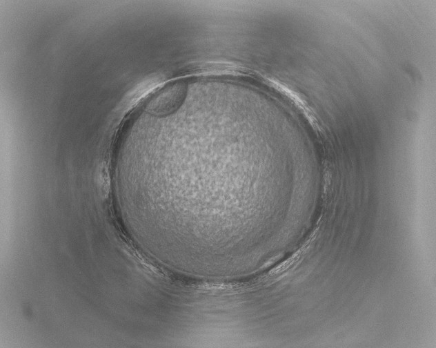 X0000116451407200912221535