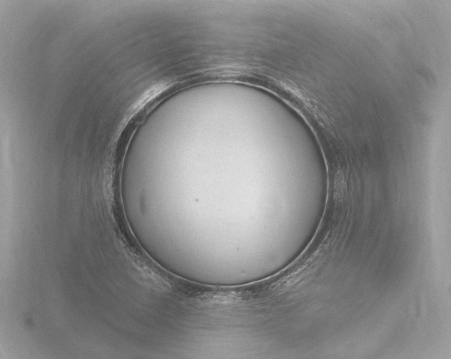 X0000116451410200912221535