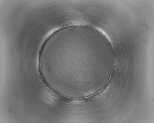 X0000116451419200912221535