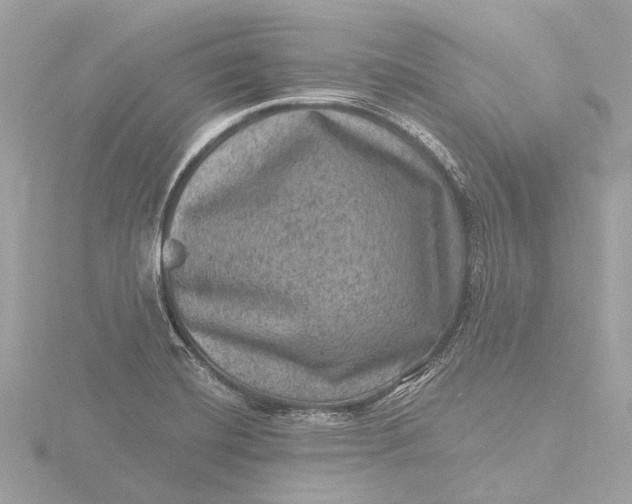 X0000116451420200912221535