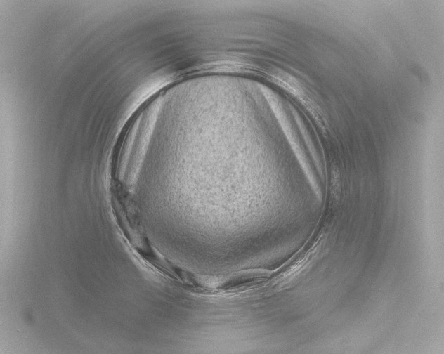 X0000116451426200912221535