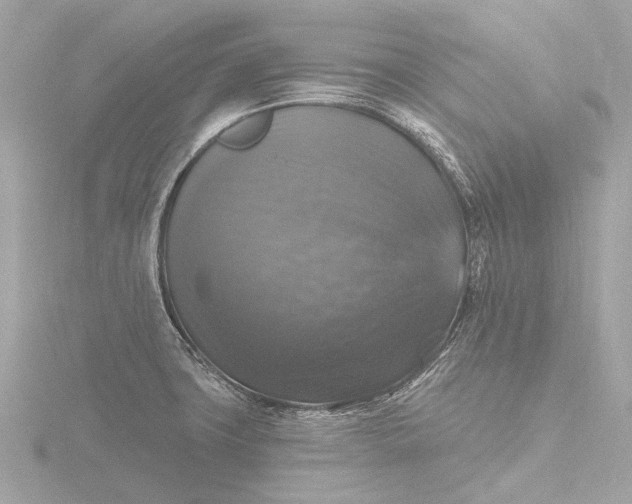 X0000116451427200912221535