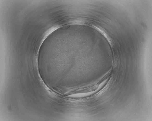 X0000116451434200912221535