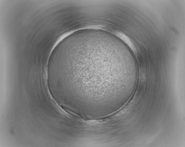 X0000116451436200912221535