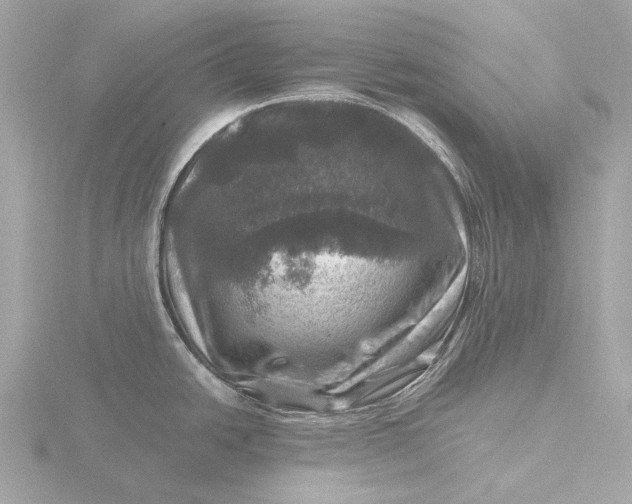 X0000116451438200912221535