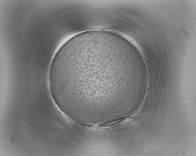X0000116451440200912221535