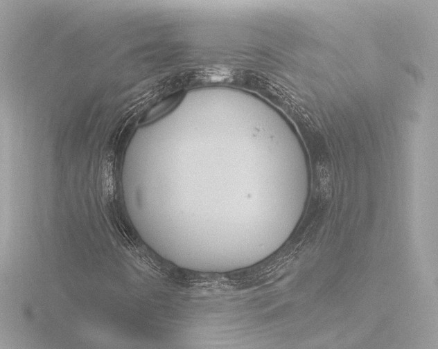 X0000116451442200912221535
