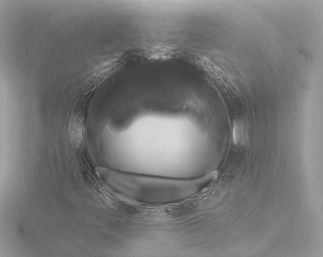 X0000116451444200912221535