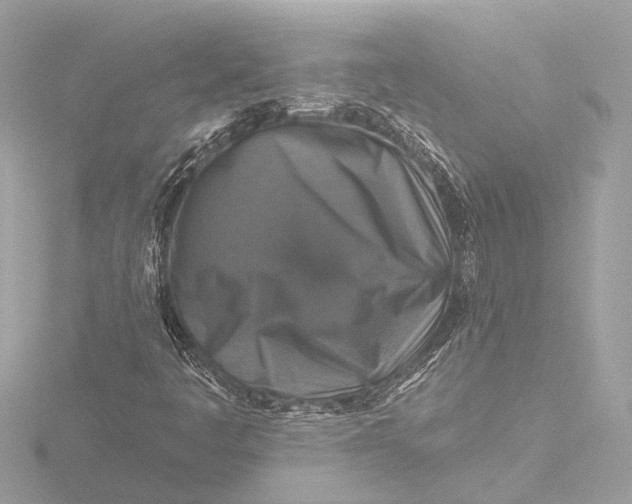 X0000116451445200912221535