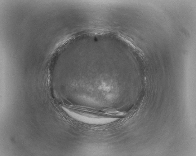 X0000116451447200912221535