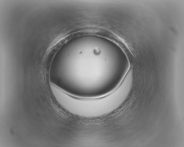 X0000116451448200912221535