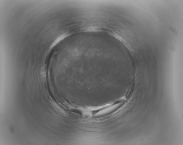 X0000116451450200912221535