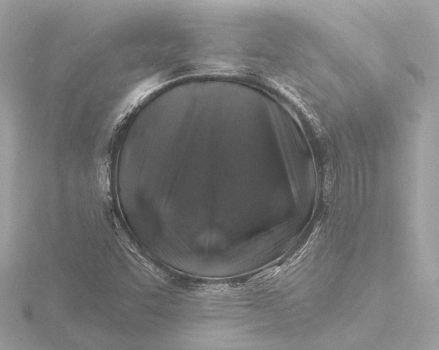 X0000116451455200912221535