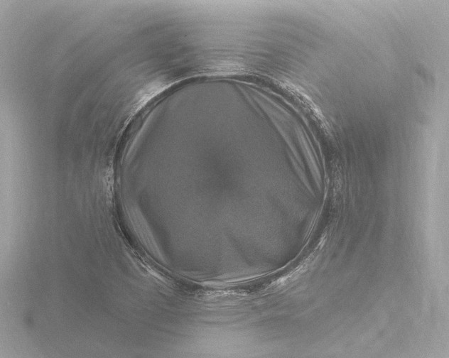 X0000116451457200912221535