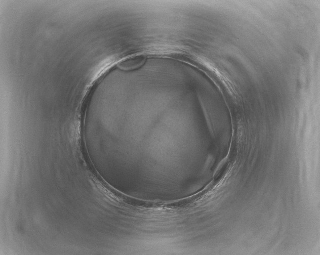 X0000116451459200912221535