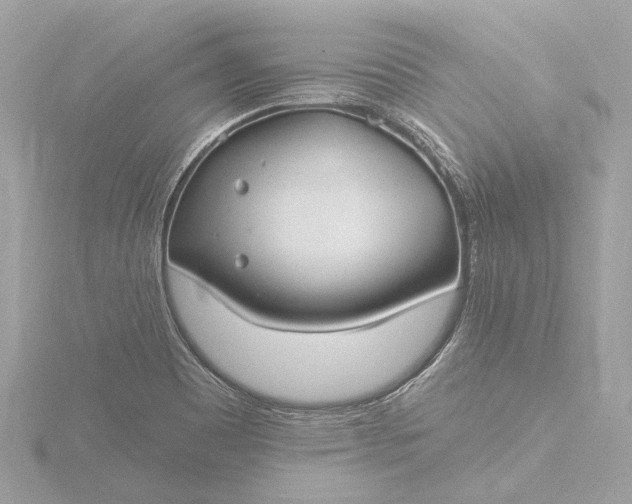 X0000116451465200912221535