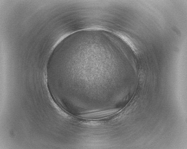 X0000116451476200912221534