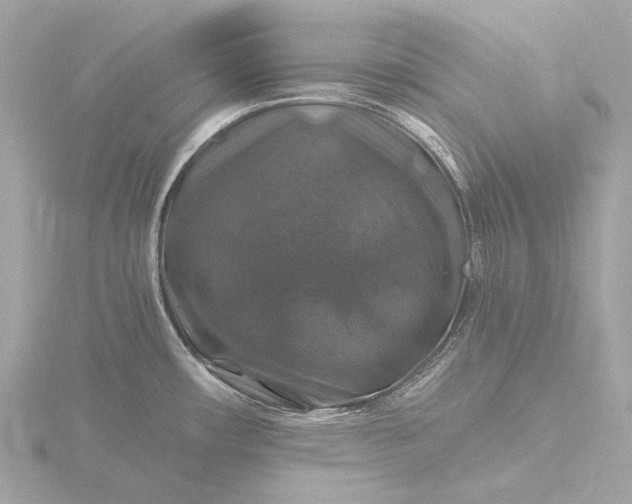 X0000116451482200912221534