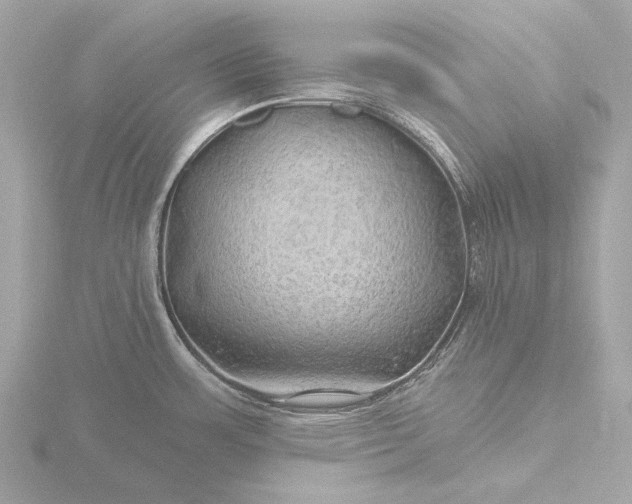 X0000116451483200912221534