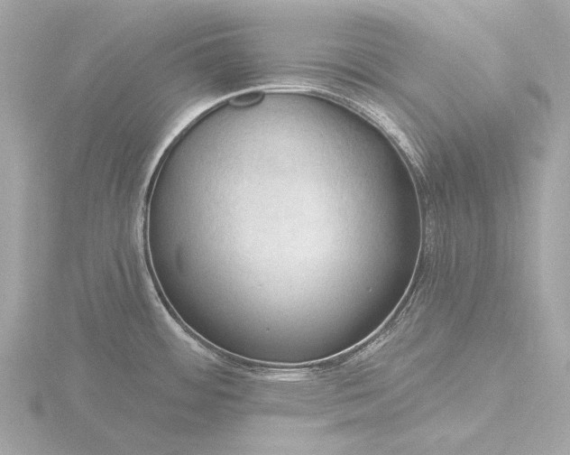 X0000116451484200912221534