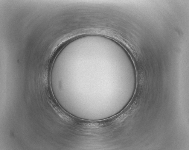 X0000116451499200912221534