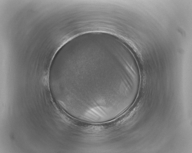 X0000116451513200912221534