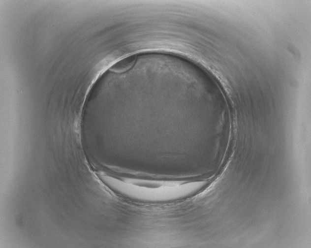 X0000116451529200912221534