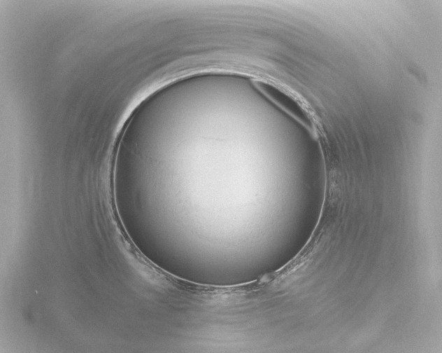X0000116451530200912221534